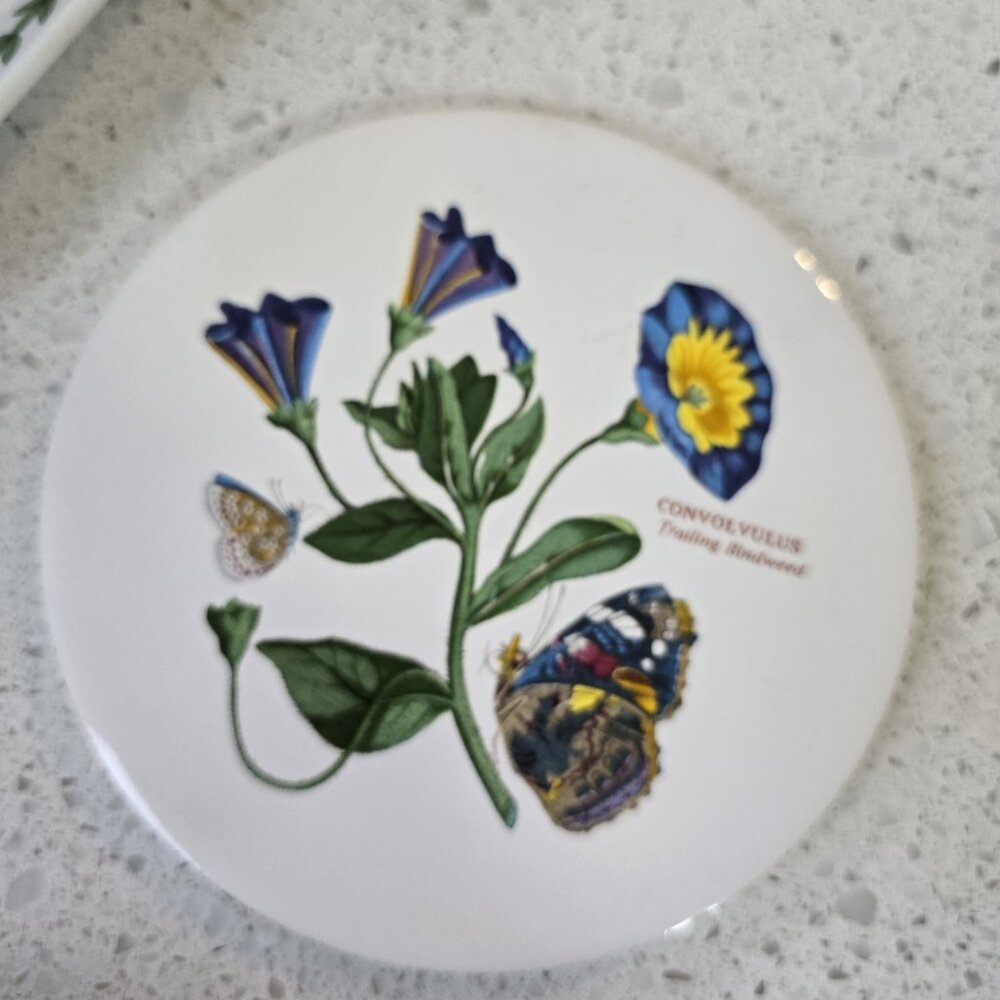 Portmeirion The Botanic Garden  Trivet Trailing Bindweed Convolvulus 6" Ceramic - Picture 2 of 5
